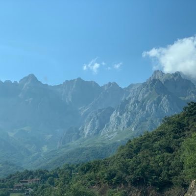 Profile Picture of Dr Lisa Honeyman (@HoneymanDr) on Twitter