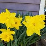 Profile Picture of June Horton (@june.horton.338) on Instagram