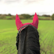 Profile Picture of Harry Robb (@harry_equestrian) on Youtube