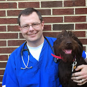 Mark Olcott, DVM - Youtube Profile Picture of Mark Olcott, DVM (@markolcottdvm5681) on Youtube