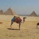 Jessica Chen - Instagram Profile Picture of Jessica Chen (@jessica.weichi.chen) on Instagram