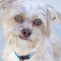 Profile Picture of Nancy De La Torre (@delamom) on Pinterest