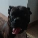 Profile Picture of Savannah Dennis (@alex.diggs.raiders.noel.izzy) on Instagram