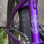 Profile Picture of Chris Loughlin (@bigcat.91) on Instagram