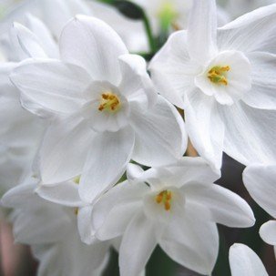 Profile Picture of Mary Lee Gibson (@MaryLee29464775) on Twitter