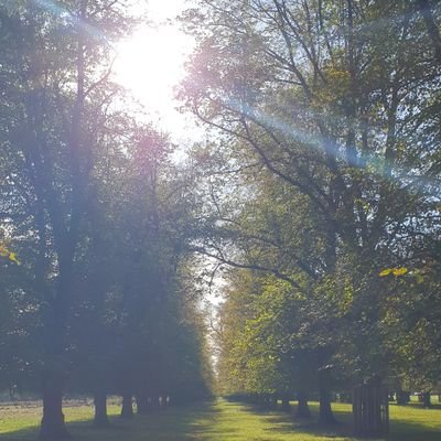 Profile Picture of Camelia Melescanu (@cami_melescanu) on Twitter