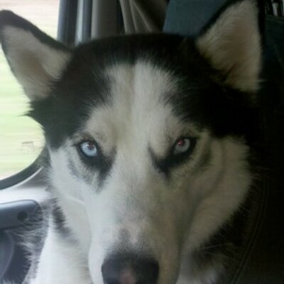 Profile Picture of Charles Duane Haney (@cdh572) on Twitter