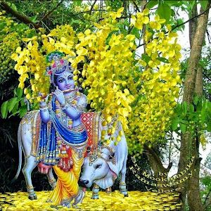 Profile Picture of Vivek Chandran (@vivek.chandran) on Tiktok