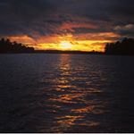 Profile Picture of Ryan Zapfel (@ryan_zapfel) on Instagram