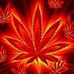 Profile Picture of Shawn Gaspard (@shawn.gaspard.7) on Facebook