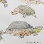 Profile Picture of med student art adventures! (@artisttammy) on Instagram