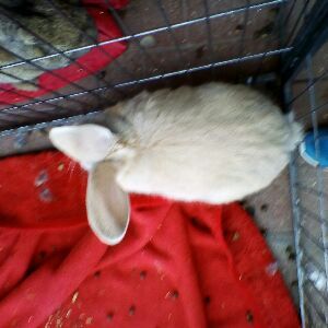 Profile Picture of Aaronfinnigan (@epickiller1234567891) on Tiktok