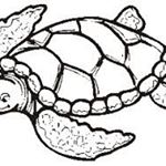 Profile Picture of Janet Sherry (@janetsherry7139) on Instagram