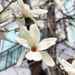 Profile Picture of 사월킴 (@sawolkeem) on Instagram