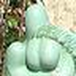 Profile Picture of David Vecchione Jr. (@lord eebaa) on Flickr