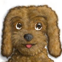 Profile Picture of Julian Gorman (@julian-gorman-4) on Quora