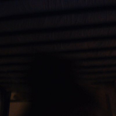 Profile Picture of Flora Turner (@Floraturner14) on Twitter