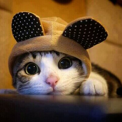 Profile Picture of Tomoyuki Sato (佐藤朋之) (@TomSATO_Tommy) on Twitter