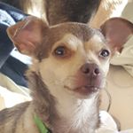 Profile Picture of Kim Allain (@my87qty) on Instagram