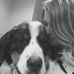 Profile Picture of Jason Bobst (@jason.bobst.1) on Facebook