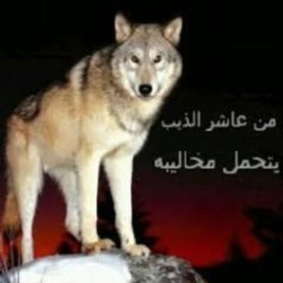 Profile Picture of ومن الحب ما قتل (@AntonePaul1) on Twitter