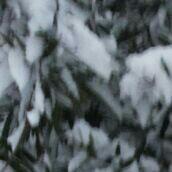 Profile Picture of Hernan Serrano (@hernanserrano04) on Twitter