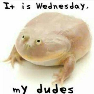 Profile Picture of Sean Lenihan (@Sean_Lenihan_) on Twitter