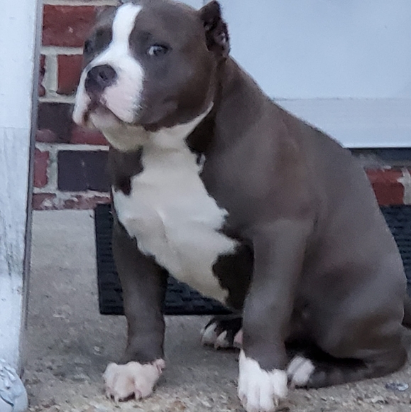 Profile Picture of Nani Kaopio (@nanikaopio) on Poshmark