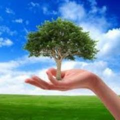 Profile Picture of Mark Baylor (@earn_mark) on Twitter