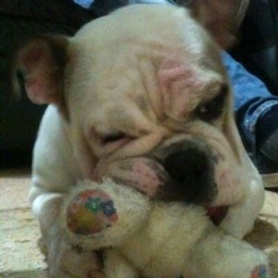 Profile Picture of Omar Daniel Giraldo (@Omargiraldo2) on Twitter