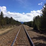 Profile Picture of Andrea Hanrahan (@hanrahana) on Instagram