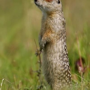 Profile Picture of Daniel Majchrzak (@108515256) on Myspace