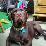 Profile Picture of sabrina wade (@sabrinawade1978) on Instagram