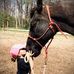 Profile Picture of Lori Adkins (@lori.adkins.31) on Facebook