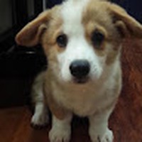 Profile Picture of Benjamin Howe (@benjamin-howe-22) on Quora