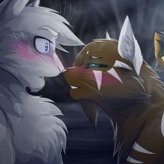 Profile Picture of HOLLYLEAF STAR (@jo_janson) on Twitter