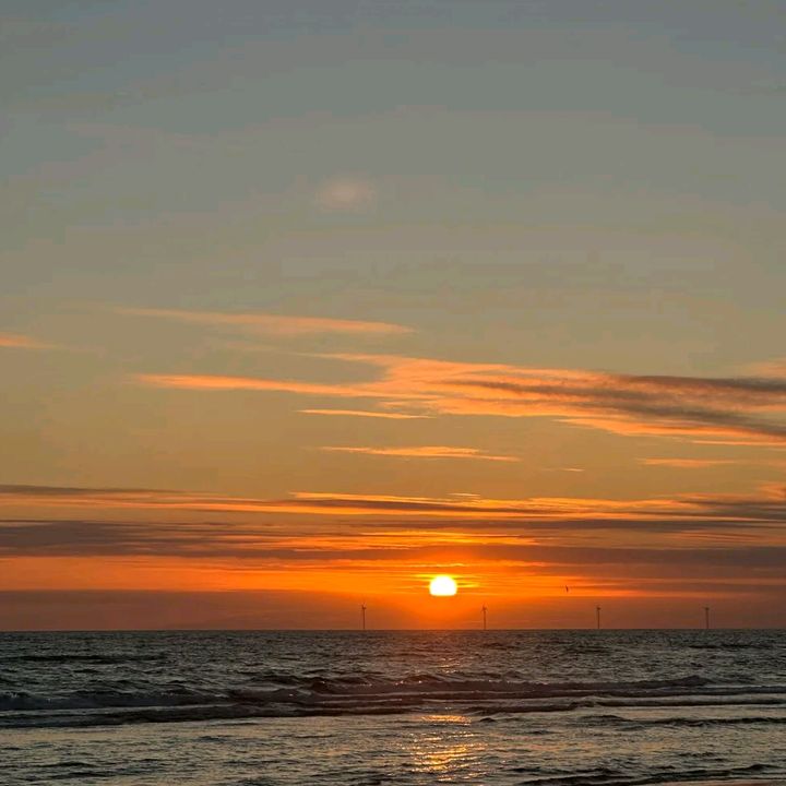 Profile Picture of Thomas Seefeld (@tsee85) on Tiktok