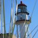Profile Picture of Scott W Rozanski  (@fuzzydog1378) on Pinterest