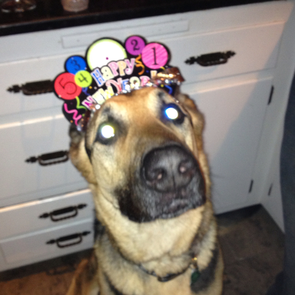 Profile Picture of Brenda Bettman (@bettfield) on Poshmark