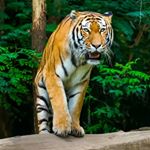 Ajay Pandit - Instagram Profile Picture of Ajay Pandit (@ajay._.pandit) on Instagram