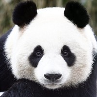 Profile Picture of Amanda Kniffen (@amanda-kniffen-1) on Quora