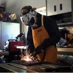 Profile Picture of Travis Burk (@travisp.b) on Instagram