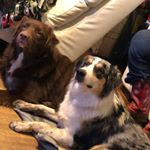 Profile Picture of LukeDuke&PerryMaze (@luke_duke_perry_maze) on Instagram