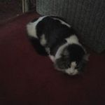 Profile Picture of Dawn Thurlow (@dawnthurlow) on Instagram