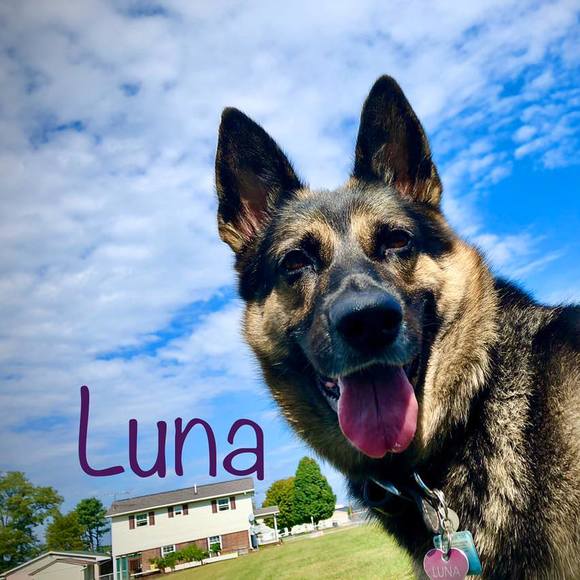 Profile Picture of Miguel Celdran (@mceldran) on Poshmark