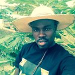 Profile Picture of Stephen Pascal (@pascal4063) on Instagram