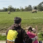 Profile Picture of Charlie Sean Bithellmanns (@charlie.bithellmanns) on Facebook