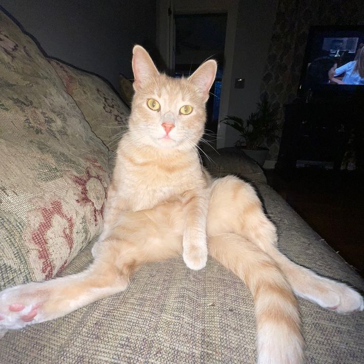 Profile Picture of Jacob Bruno (@jacobbruno27) on Tiktok