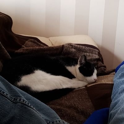 Profile Picture of Bryan McFadyen (@bryan_laurie) on Twitter