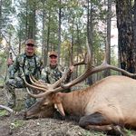 Profile Picture of Steve Chappell (@elkcamptv) on Instagram